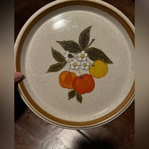 Mikasa Stone Manor Tempting Dinner Plate F5812 oven to table to dishwasher fruit